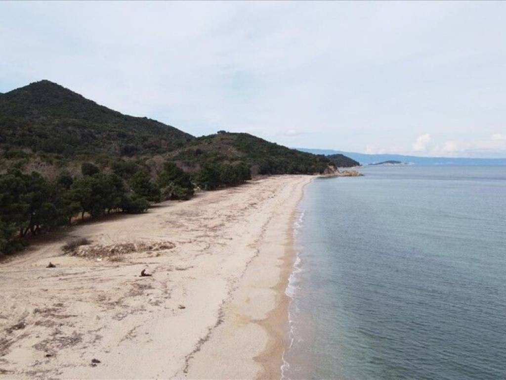 Plot - Grekodom 61874|937919