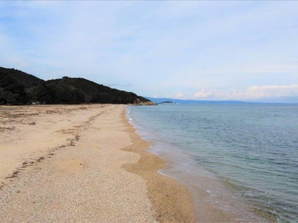 Plot - Grekodom 61874|937920