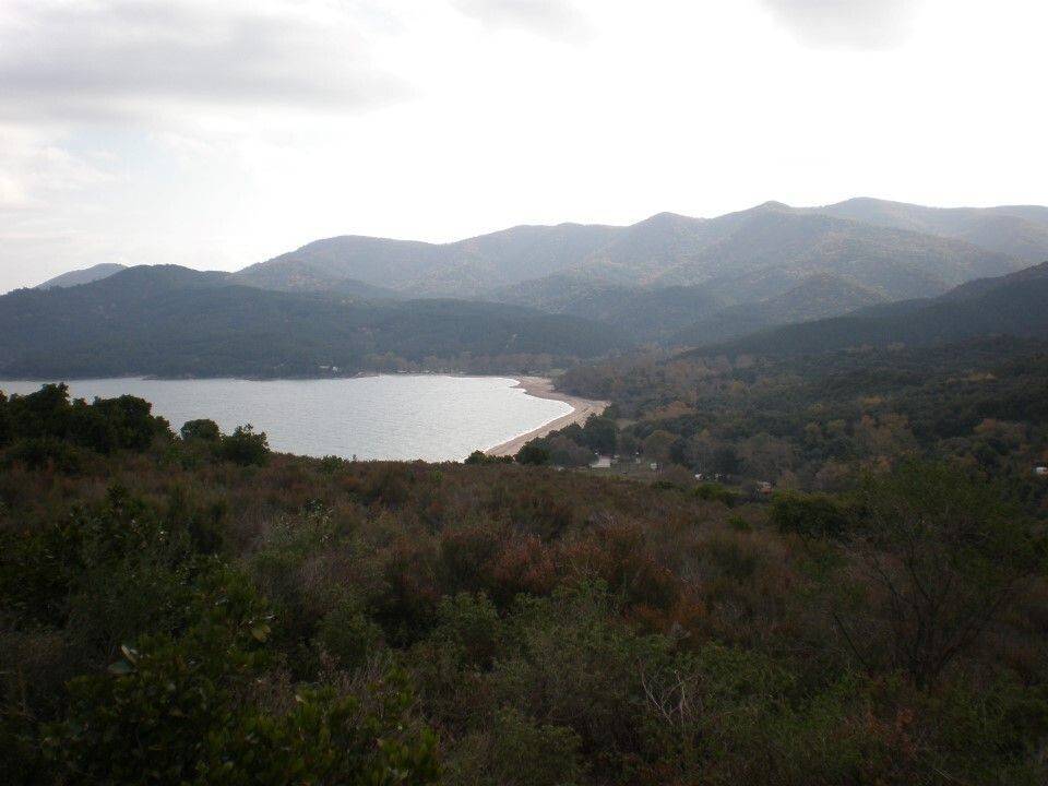 Plot - Grekodom 61874|937925