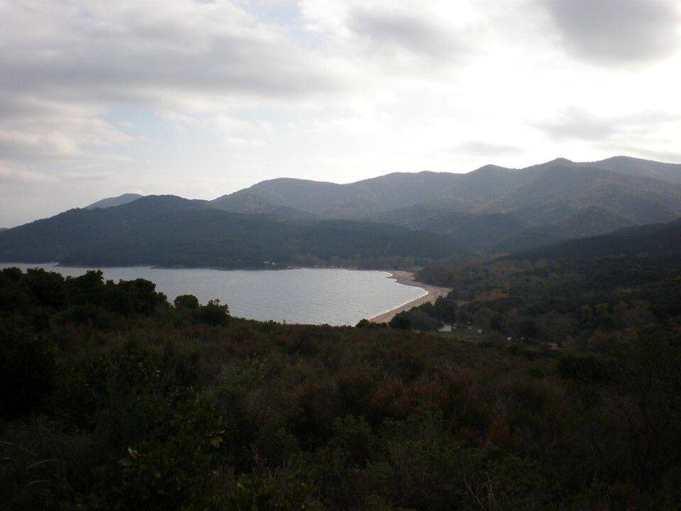 Plot - Grekodom 61874|937927