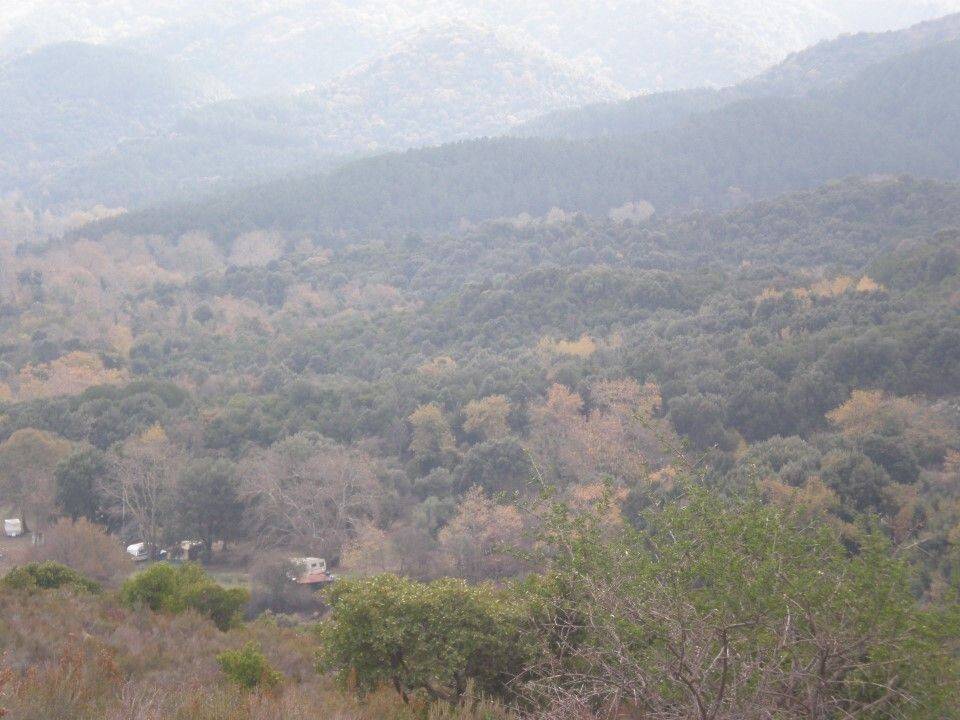 Plot - Grekodom 61874|937930