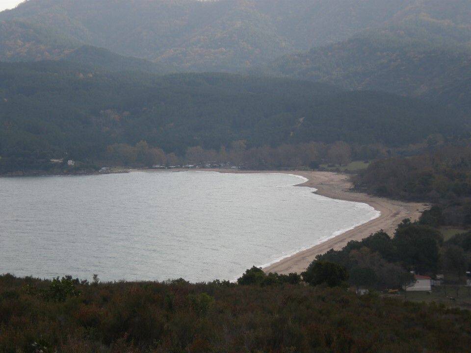 Plot - Grekodom 61874|937931