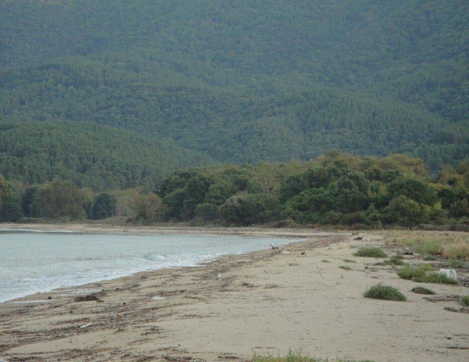 Plot - Grekodom 61874|937932