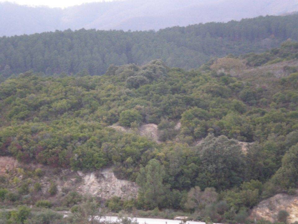 Plot - Grekodom 61874|937934