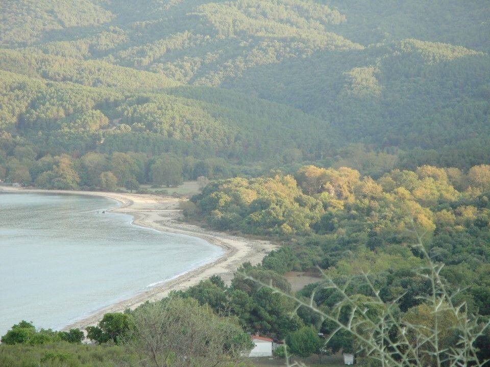 Plot - Grekodom 61874|937938