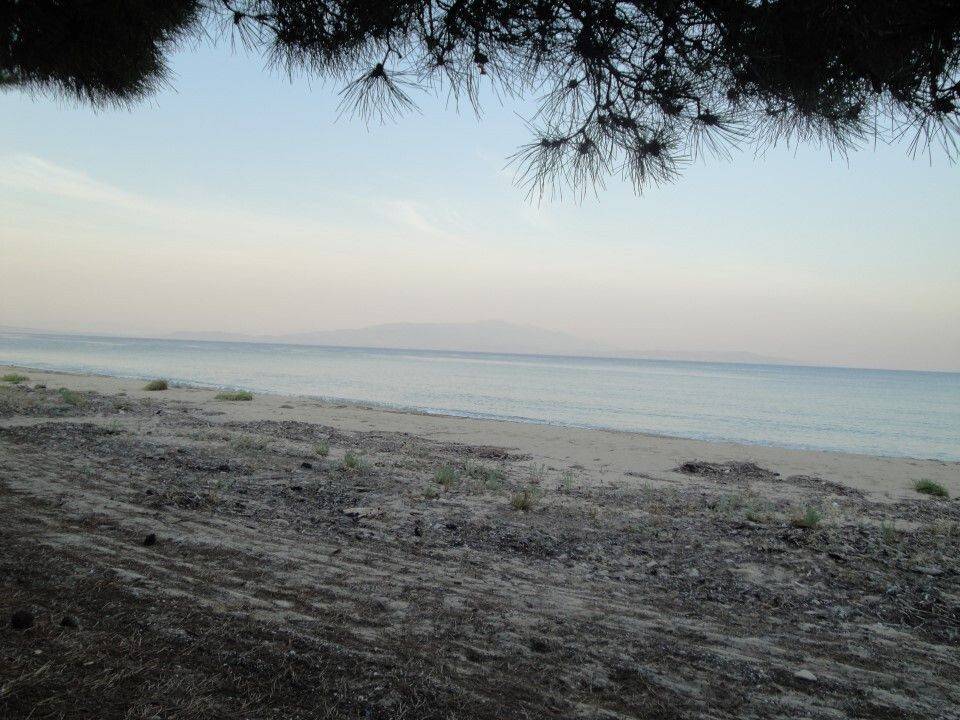 Plot - Grekodom 61874|937939