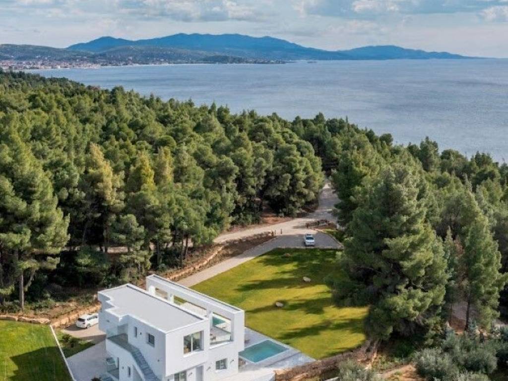 Hotel - Grekodom 61002|913071