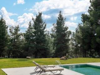 Hotel - Grekodom 61002|913007