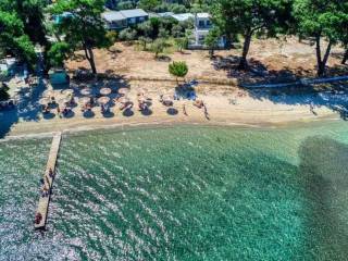 Hotel - Grekodom 60977|978323