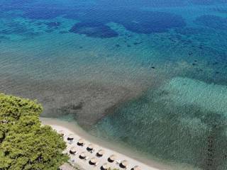 Hotel - Grekodom 60977|978325