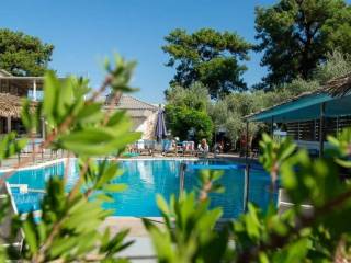 Hotel - Grekodom 60977|978334