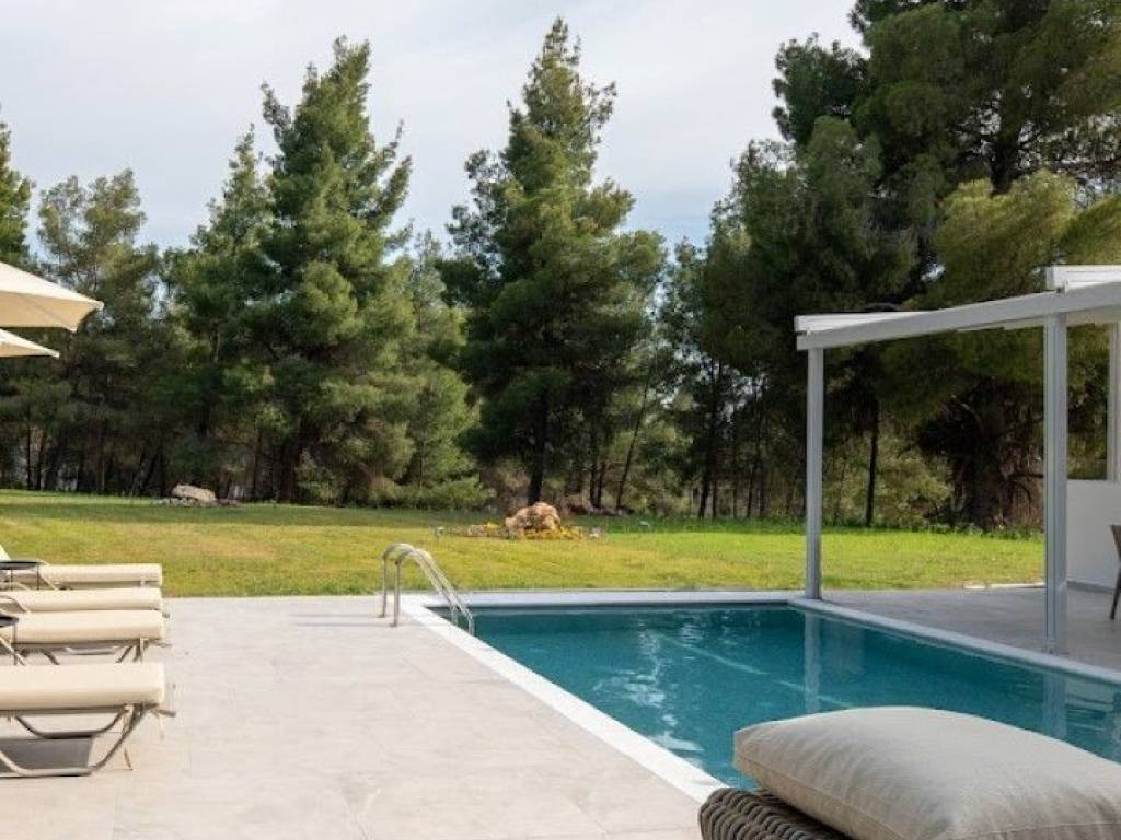 Hotel - Grekodom 61002|913023