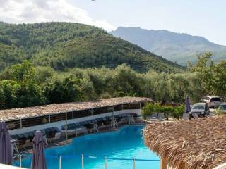 Hotel - Grekodom 60977|978335