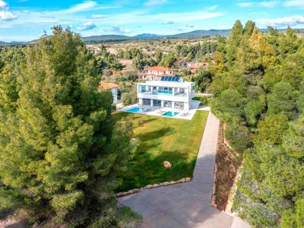 Hotel - Grekodom 61002|913030