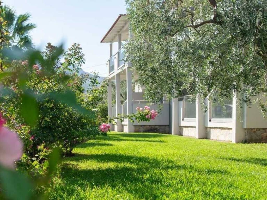 Hotel - Grekodom 60977|978341