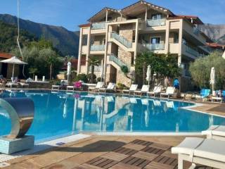 Hotel - Grekodom 60919|910832