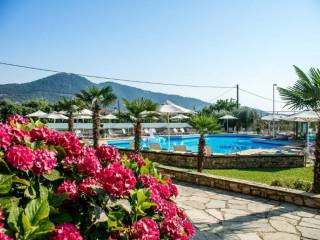 Hotel - Grekodom 60919|910822