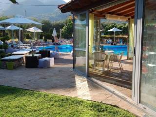 Hotel - Grekodom 60919|910826