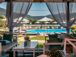 Hotel - Grekodom 60919|910819