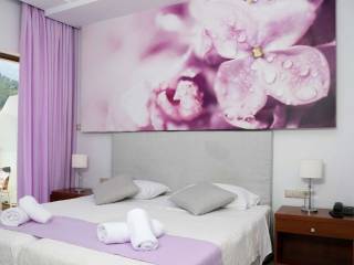 Hotel - Grekodom 60919|910807