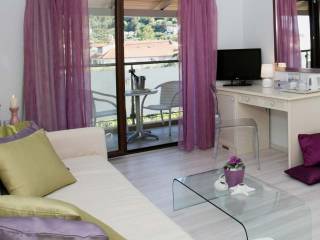 Hotel - Grekodom 60919|910824