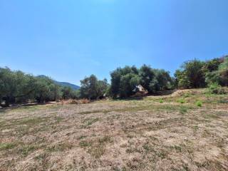 Plot - Grekodom 60580|900102