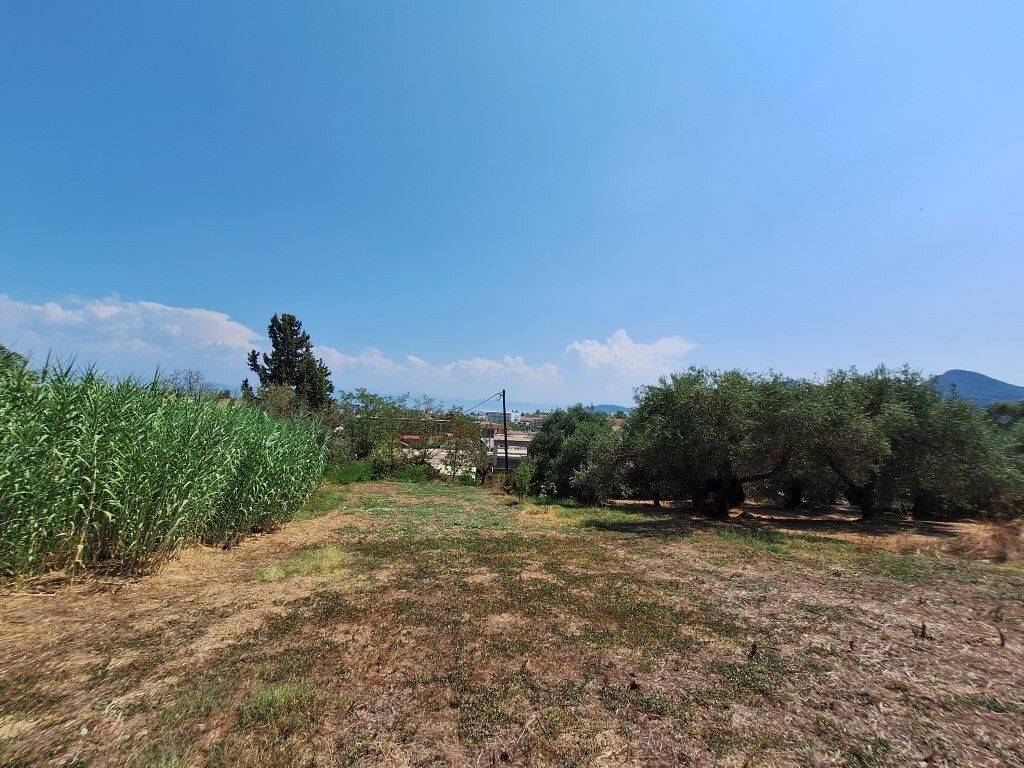 Plot - Grekodom 60580|900104