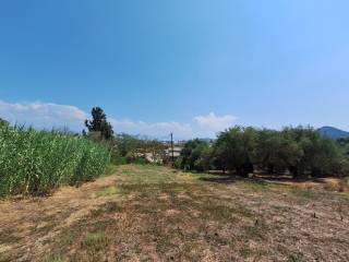 Plot - Grekodom 60580|900104