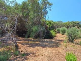 Plot - Grekodom 60580|900114