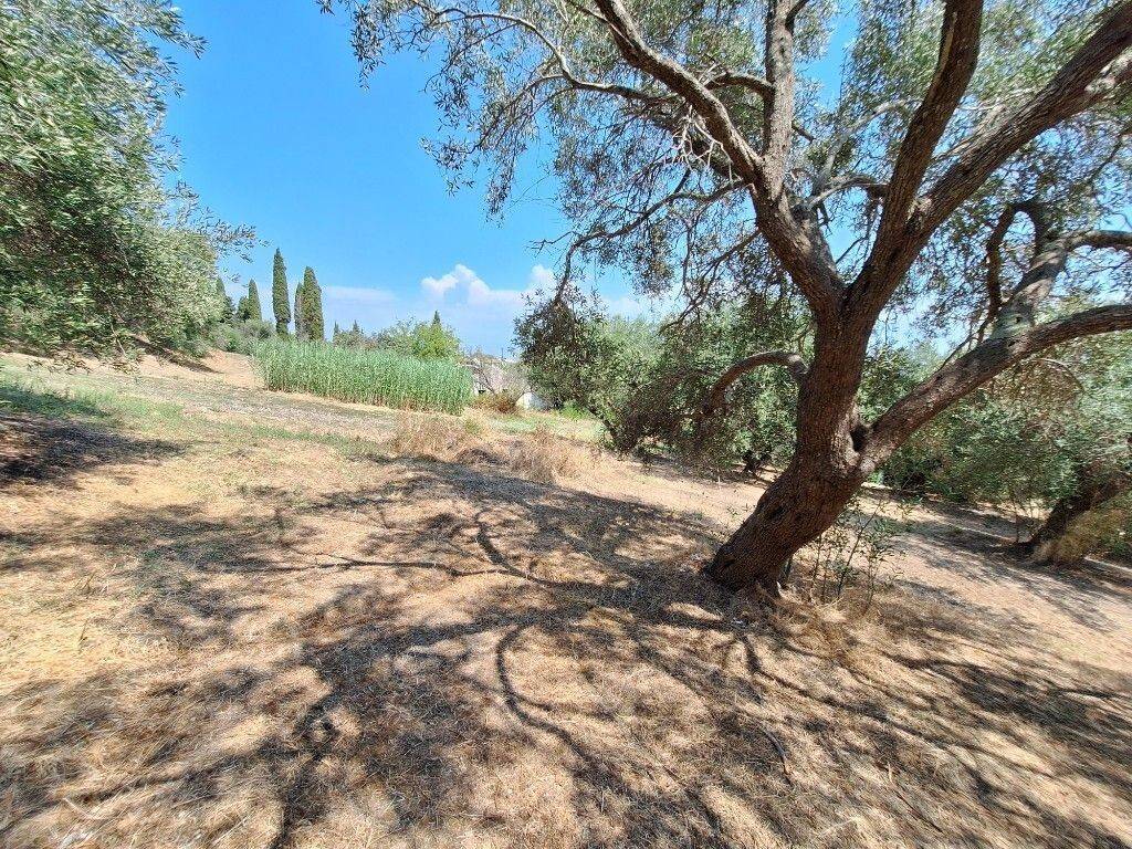 Plot - Grekodom 60580|900116