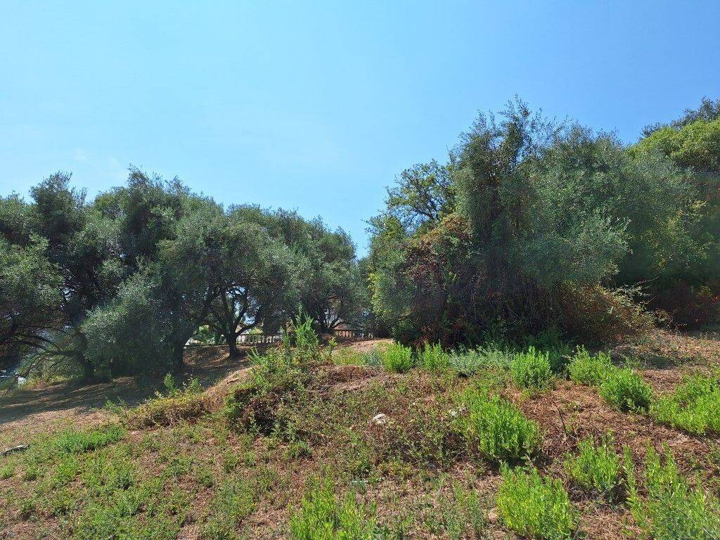 Plot - Grekodom 60580|900113