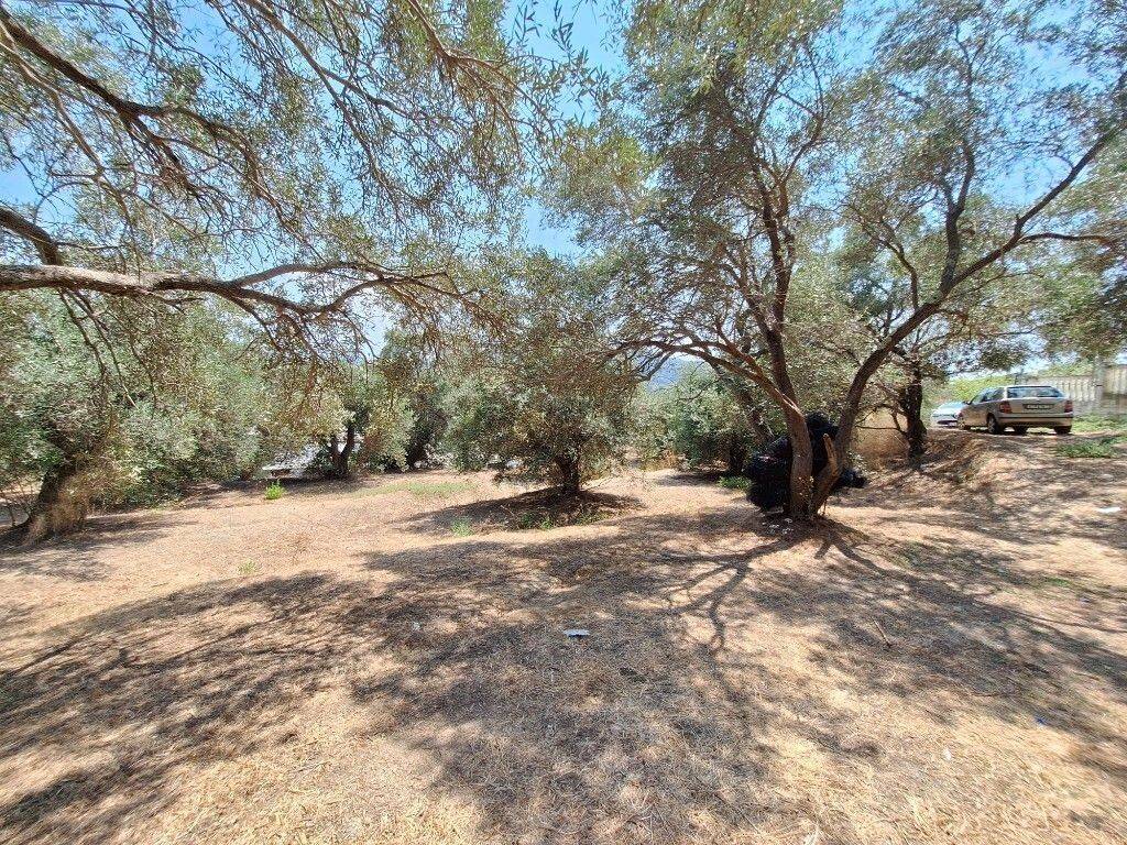 Plot - Grekodom 60580|900117