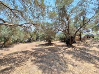 Plot - Grekodom 60580|900117