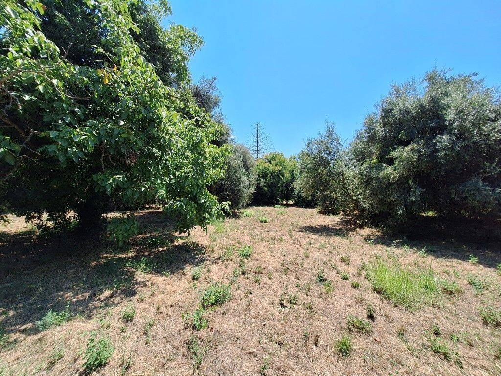 Plot - Grekodom 60458|894808