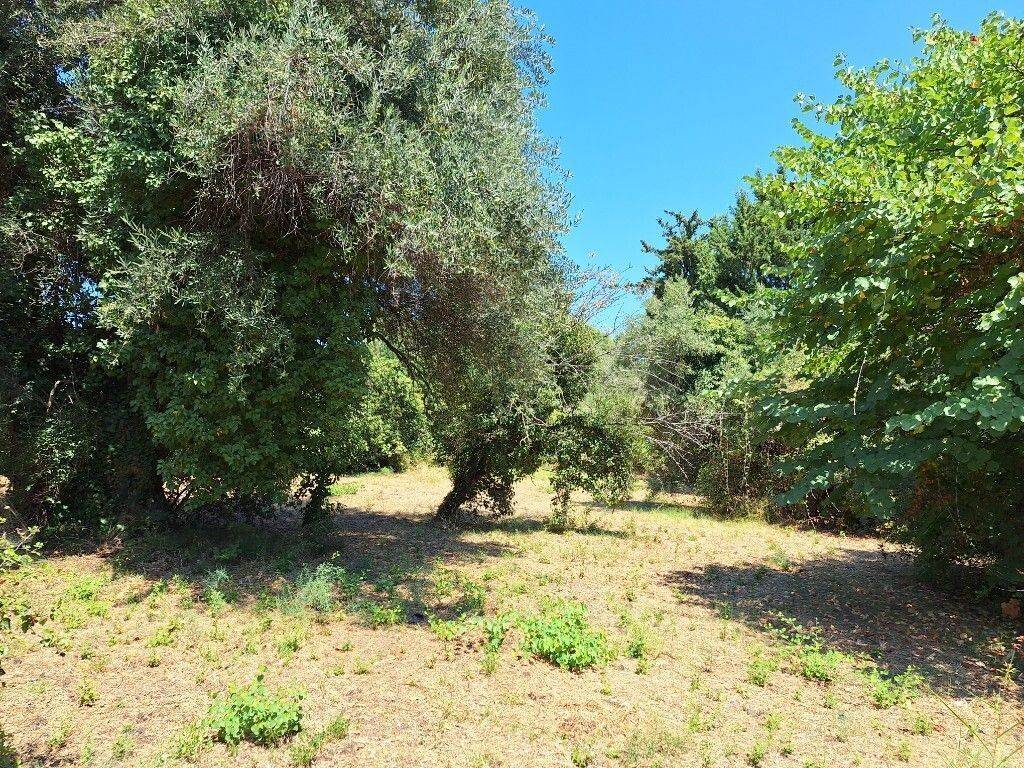 Plot - Grekodom 60458|894806