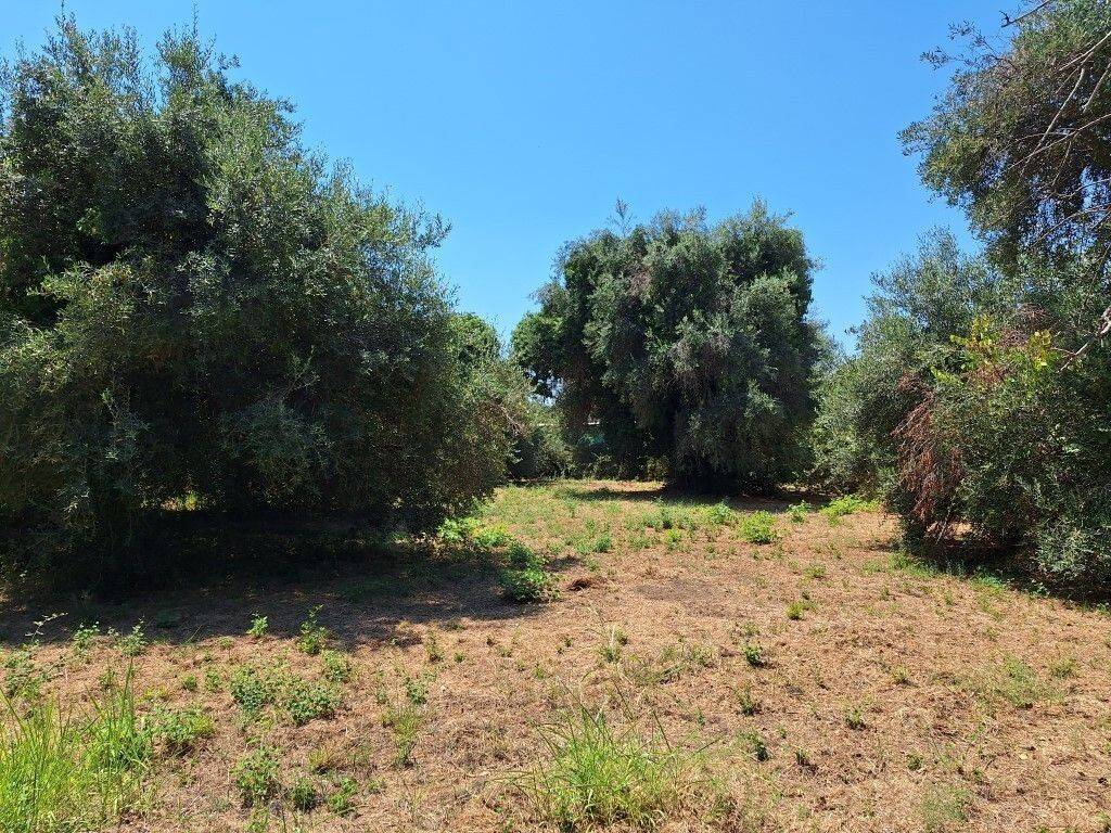 Plot - Grekodom 60458|894809