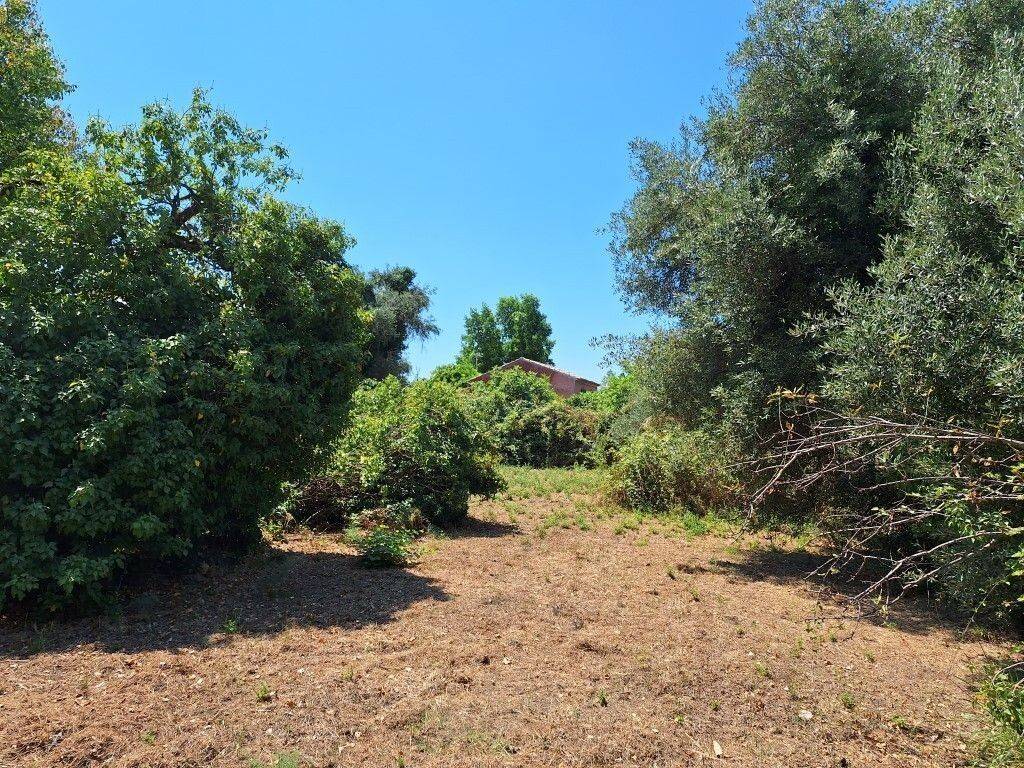 Plot - Grekodom 60458|894810