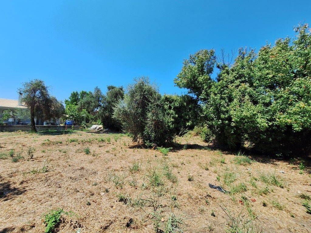 Plot - Grekodom 60458|894811