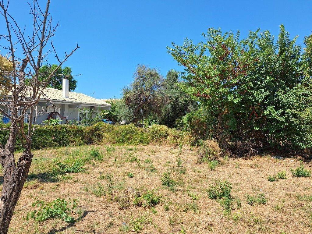 Plot - Grekodom 60458|894814