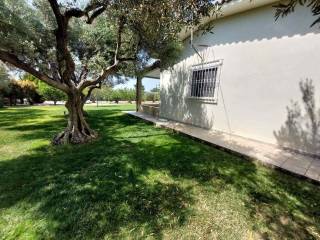 Plot - Grekodom 59993|880243