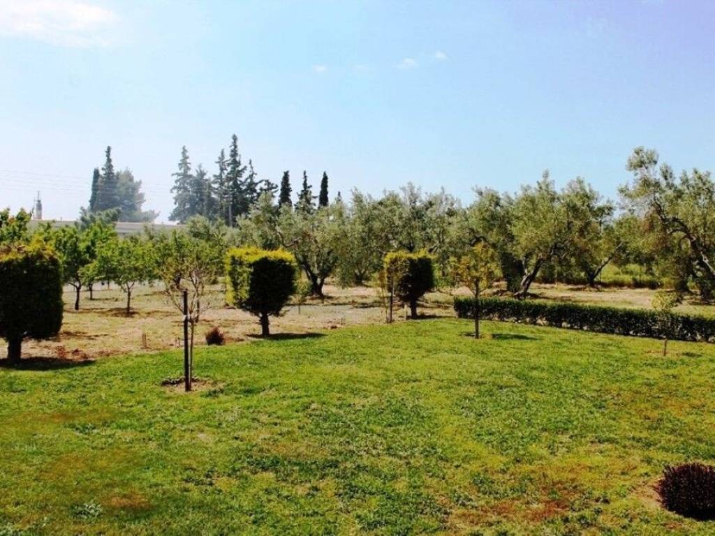 Plot - Grekodom 59993|880229