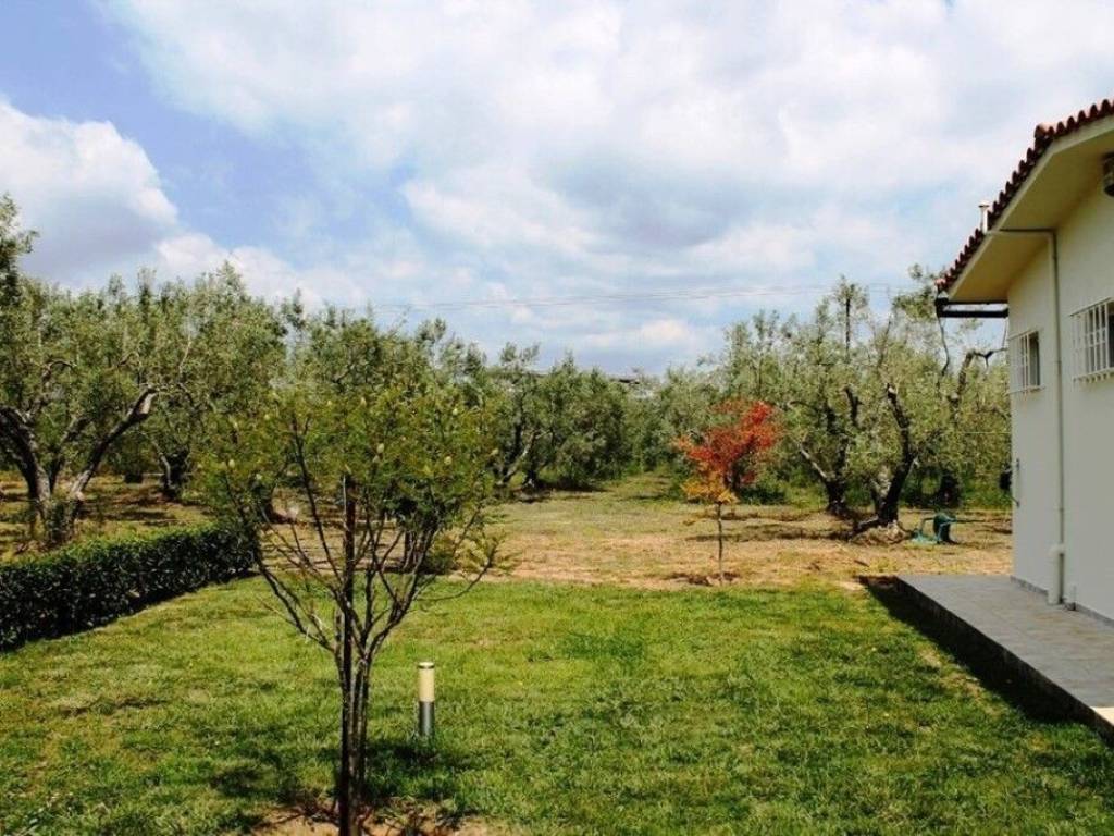 Plot - Grekodom 59993|880231