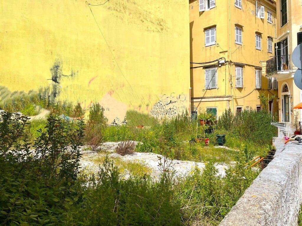 Plot - Grekodom 58550|843546