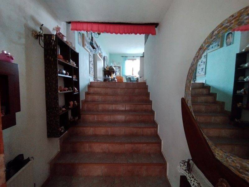 Hotel - Grekodom 58044|831438