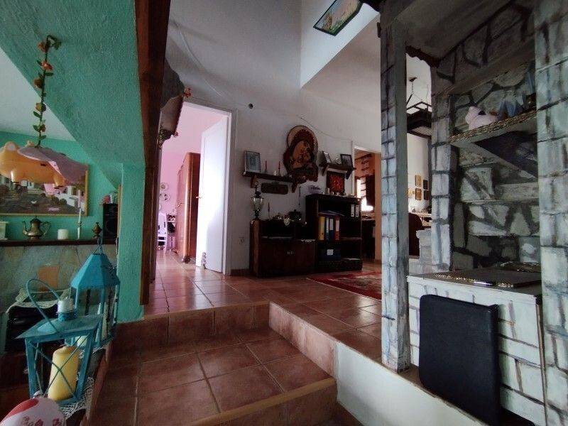 Hotel - Grekodom 58044|831444