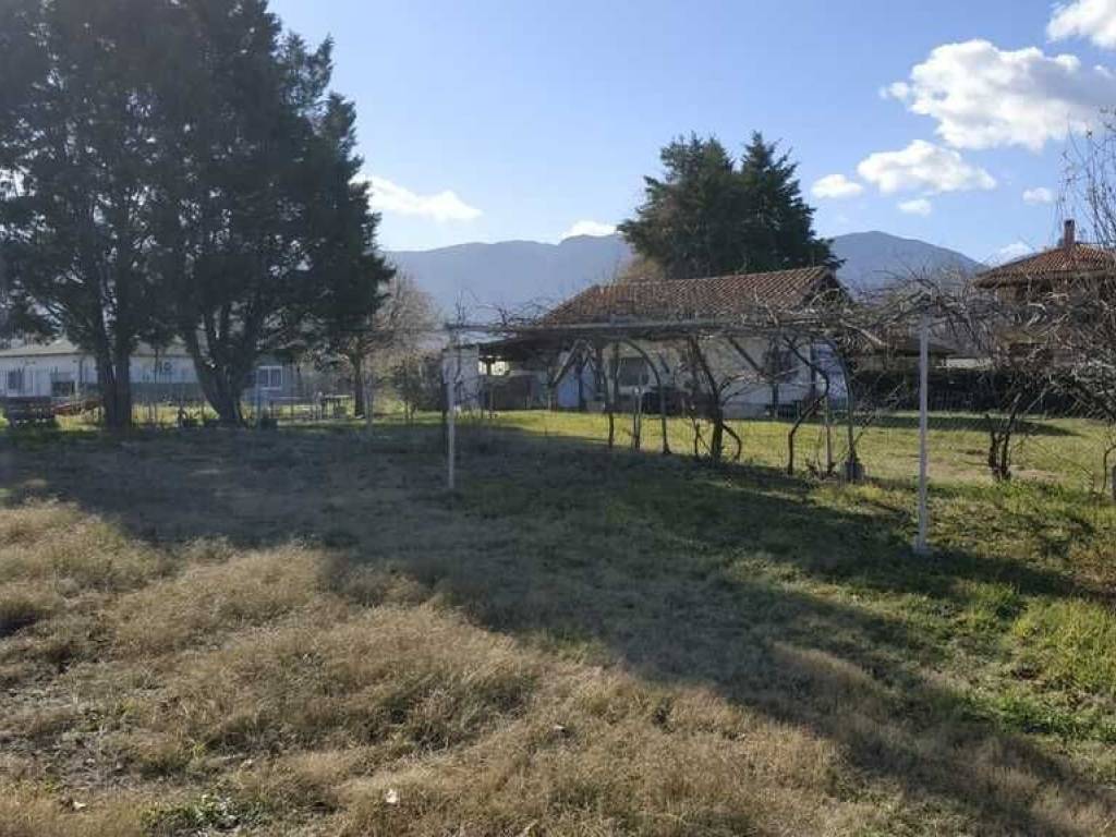 Building - Grekodom 57822|826436