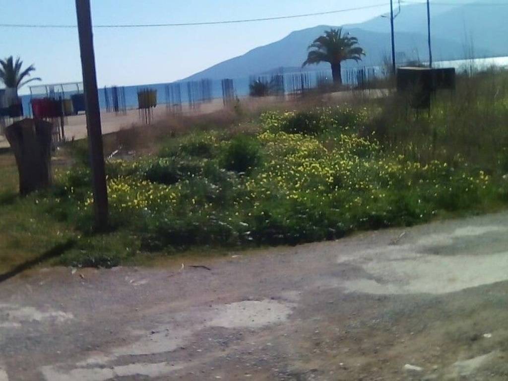 Plot - Grekodom 57483|820459