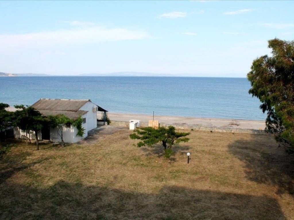 Hotel - Grekodom 56992|811948