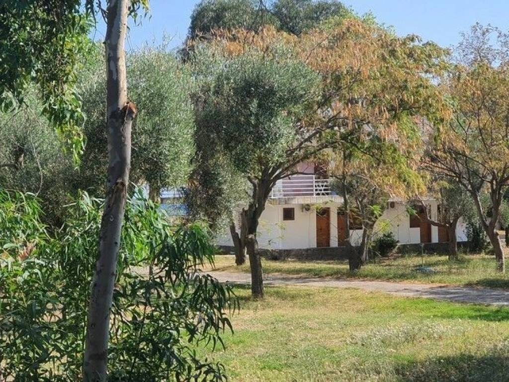 Hotel - Grekodom 56992|811969