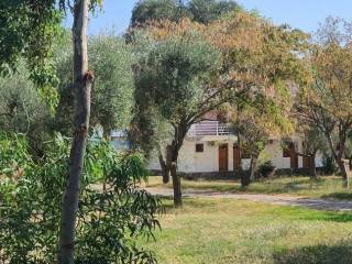 Hotel - Grekodom 56992|811969